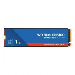 WDS100T5B0E-00CPE0 