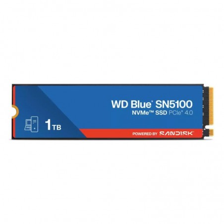 WDS100T5B0E-00CPE0 