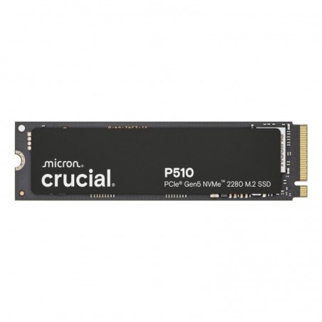CT1000P510SSD8 