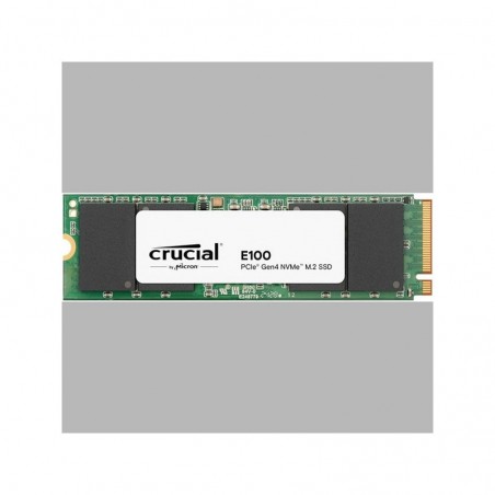CT1000E100SSD8-T 