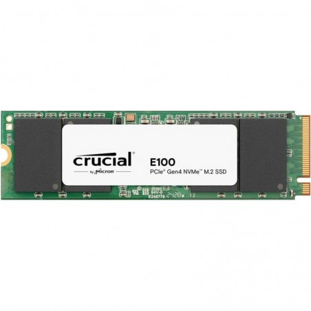 CT1000E100SSD8 