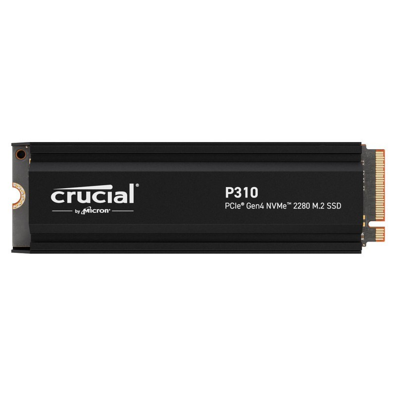 CT4000P310SSD5 