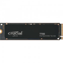 CT1000T700SSD3 