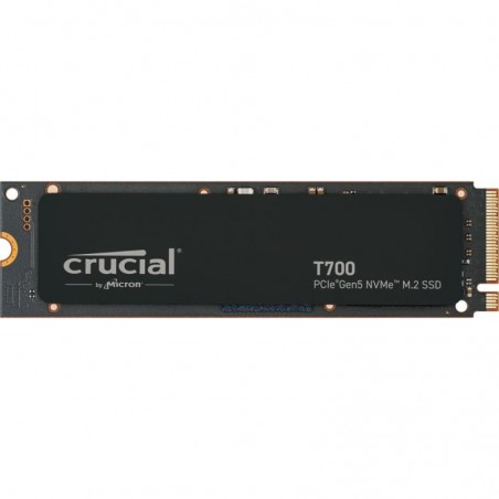 CT1000T700SSD3 
