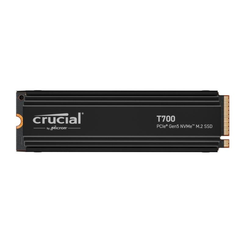 CT1000T700SSD5 
