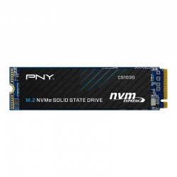 PNY CS1030 500Go 