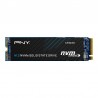 PNY CS1030 500Go 