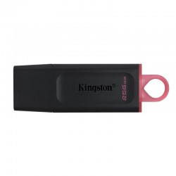 KINGSTON 256G USB 3.2 Gen 1 *DTX/256GB 