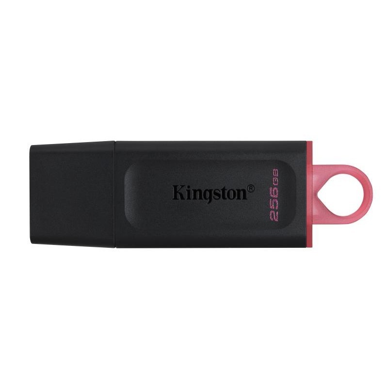 KINGSTON 256G USB 3.2 Gen 1 *DTX/256GB 