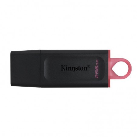 KINGSTON 256G USB 3.2 Gen 1 *DTX/256GB 