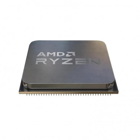 AMD Ryzen 5 8600G 