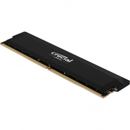 Crucial Pro CP16G60C36U5B module de mémoire 16 Go DDR5 288-pin DIMM ECC 