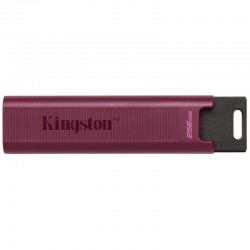 Kingston Technology DataTraveler 256GB Max Type-A 1000R/900W USB 3.2 Gen 2 