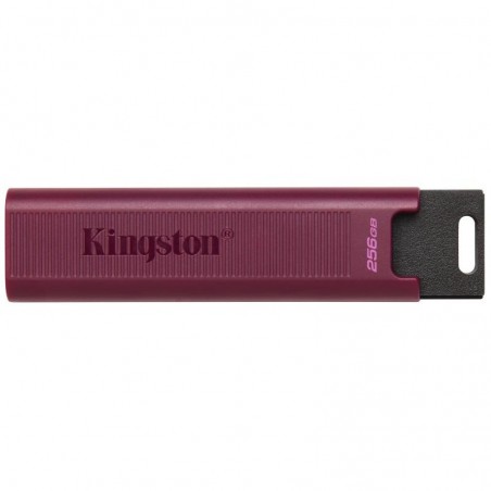 Kingston Technology DataTraveler 256GB Max Type-A 1000R/900W USB 3.2 Gen 2 