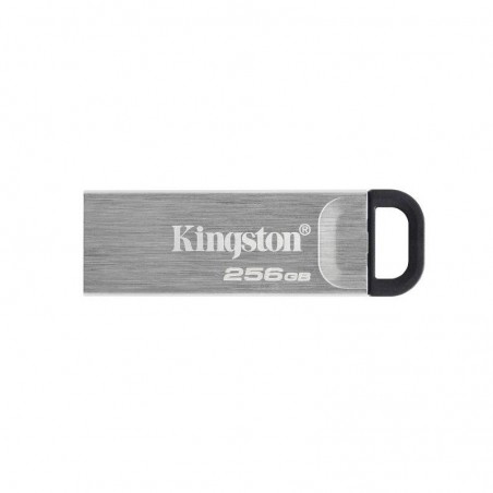KINGSTON 256G USB 3.2 Gen 1 *DTKN/256GB 