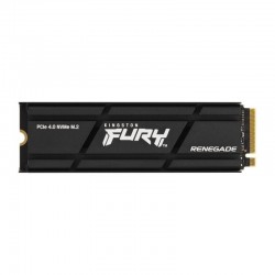 Kingston Technology 4000G RENEGADE PCIe 4.0 NVMe SSD W/ Radiateur de dissipation thermique 