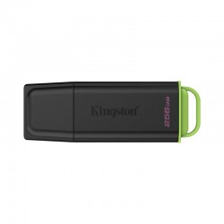 Kingston Technology DataTraveler 256Go Stockage portable USB 3.2 Gen 1 Exodia Noir + Vert 