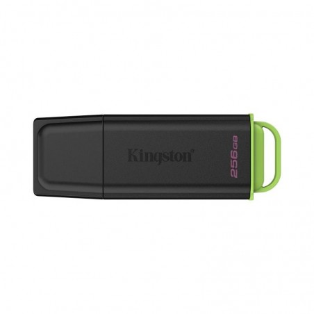 Kingston Technology DataTraveler 256Go Stockage portable USB 3.2 Gen 1 Exodia Noir + Vert 