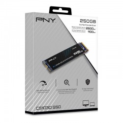 PNY CS1030 M.2 GEN3 250GB 